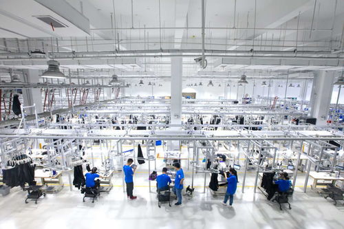 阿里進軍新制造與房地產(chǎn)交易 快手電商8月訂單量超5億