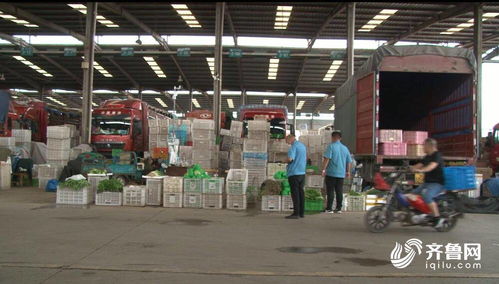 今日聚焦 山東匡山農(nóng)產(chǎn)品綜合交易市場(chǎng) 嚴(yán)格 雙證 查驗(yàn) 不合格農(nóng)產(chǎn)品將就地銷毀